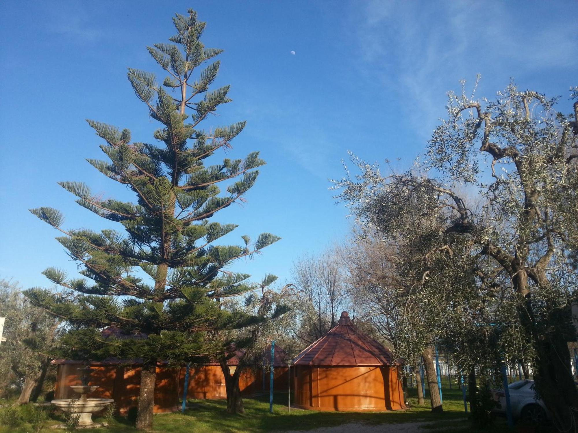 Mattinata Camping Zewnętrze zdjęcie
